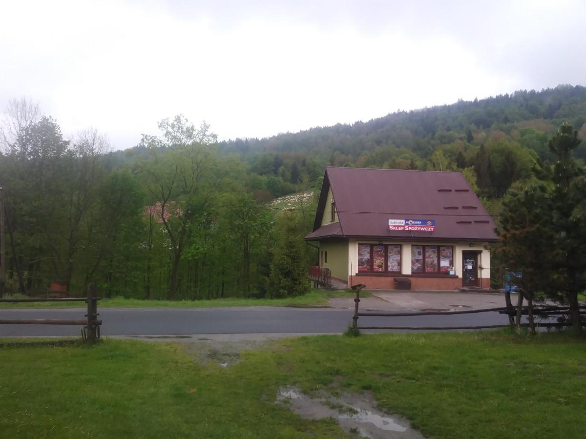Апартаменты Agroturystyka Boguska Завоя Экстерьер фото